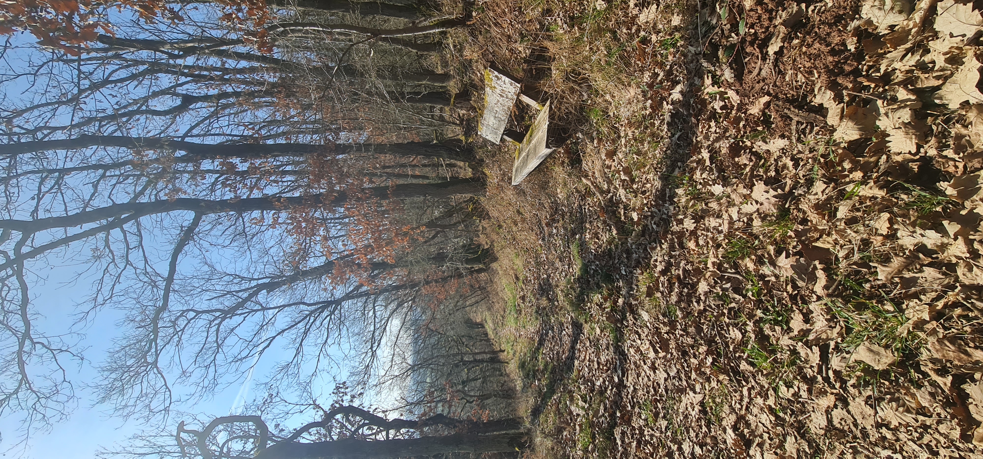 Offene Landschaft mit weitem Blick