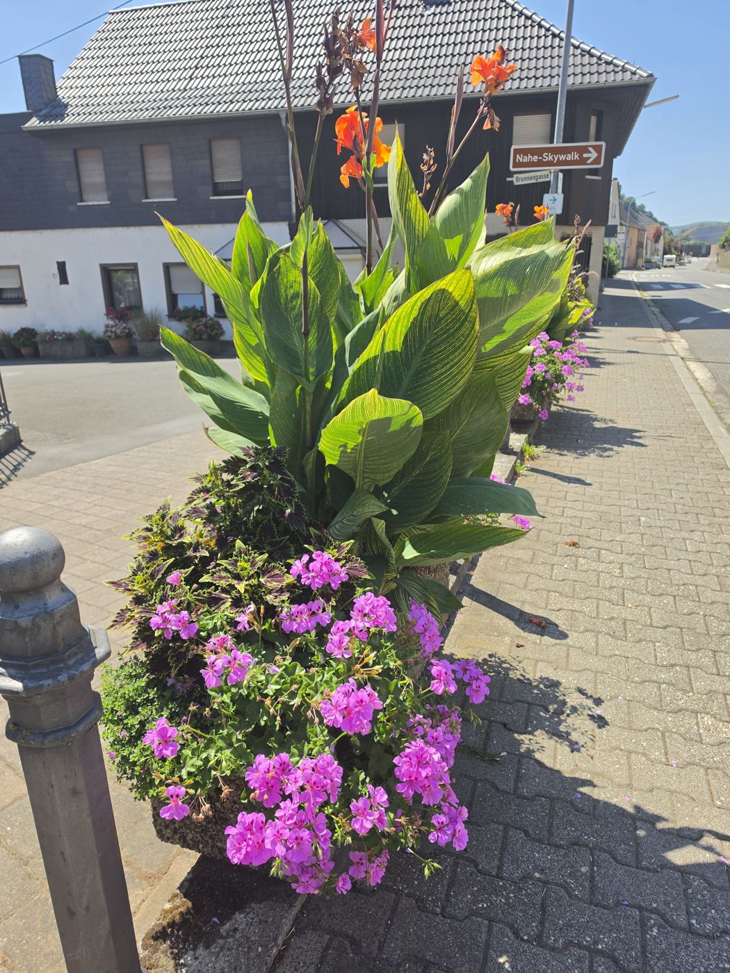 Bepflanzter Blumenkübel am Straßenrand, dahinter ein Wegweiser zum Nahe-Skywalk