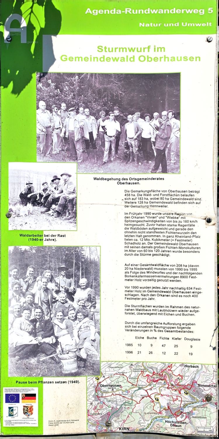 Infotafel Sturmwurf im Gemeindewald Oberhausen mit historischen Fotos und Zahlen